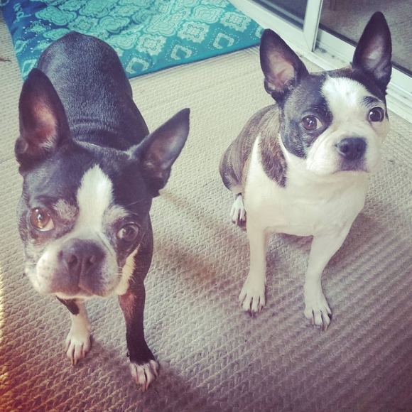 Meet Your Posher, Korena - Picture 2 of 3